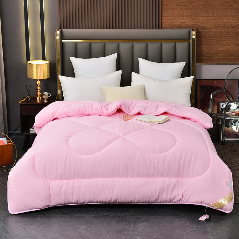 Summer Blanket Thickened Silk Floss Winter Duvet Insert