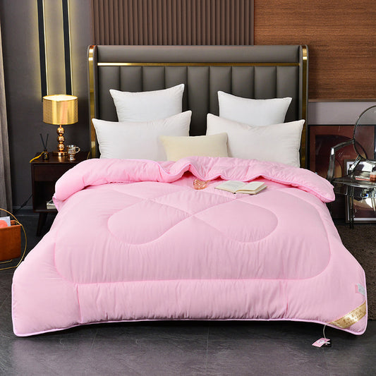 Summer Blanket Thickened Silk Floss Winter Duvet Insert